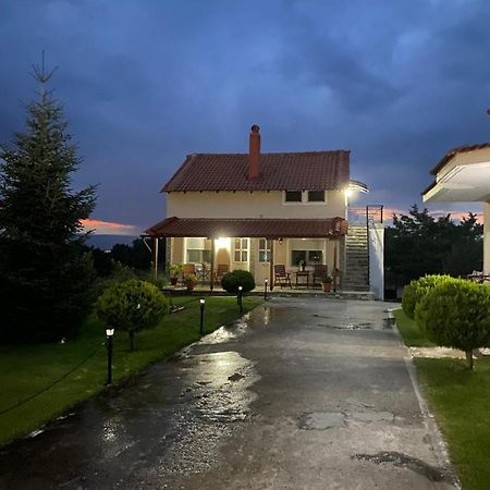 Guesthouse Anestis Ангістрон Екстер'єр фото