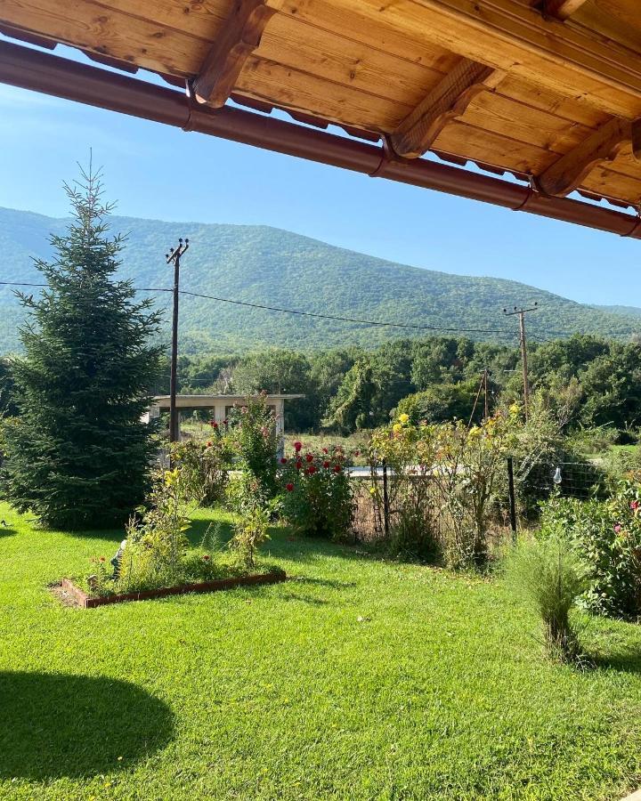Guesthouse Anestis Ангістрон Екстер'єр фото